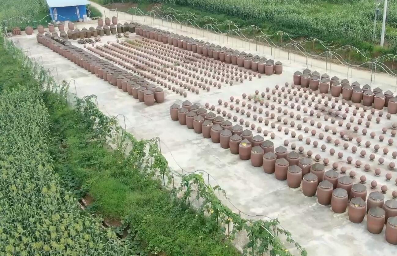 QQ截图20221007160711.jpg